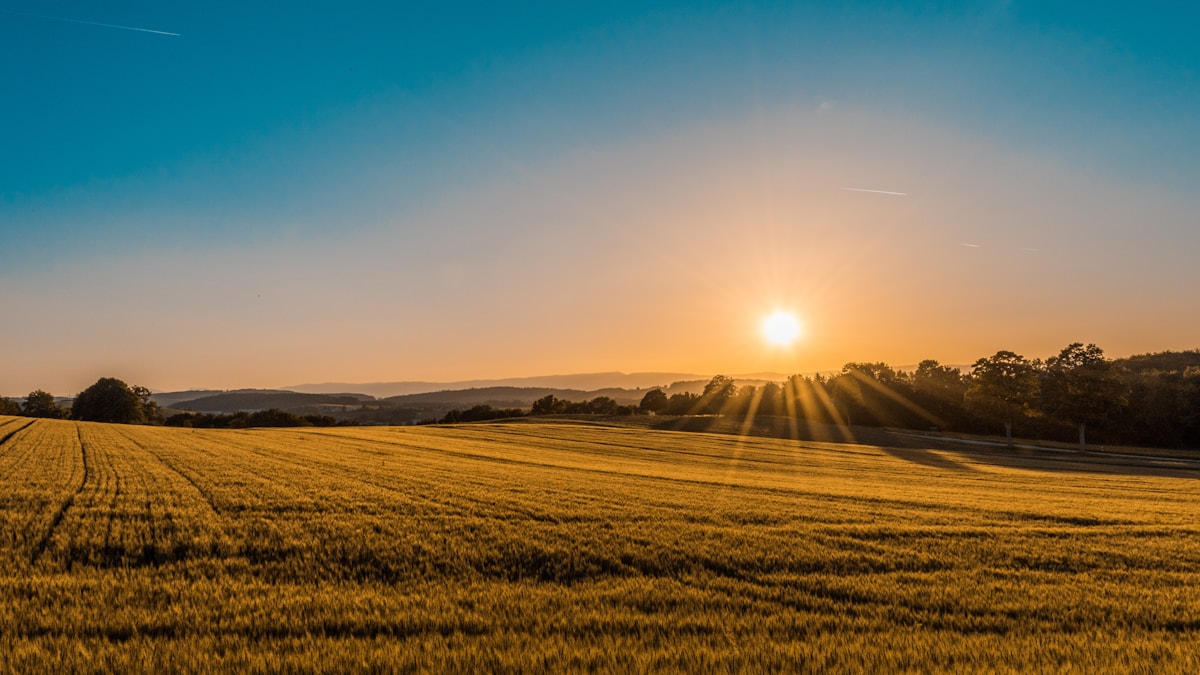 Land & Acreage real estate